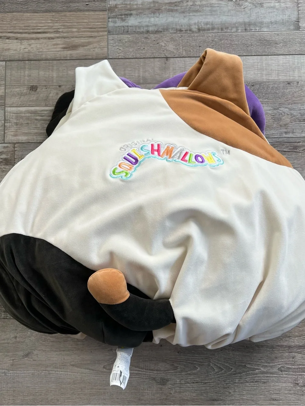 NWOT Squishmallows Cam the Witch Calico Cat Kids Costume